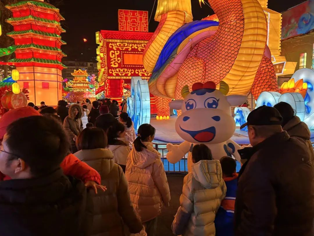 央視直播鄭州龍年燈會(huì)迎新春，花花牛品牌上大分