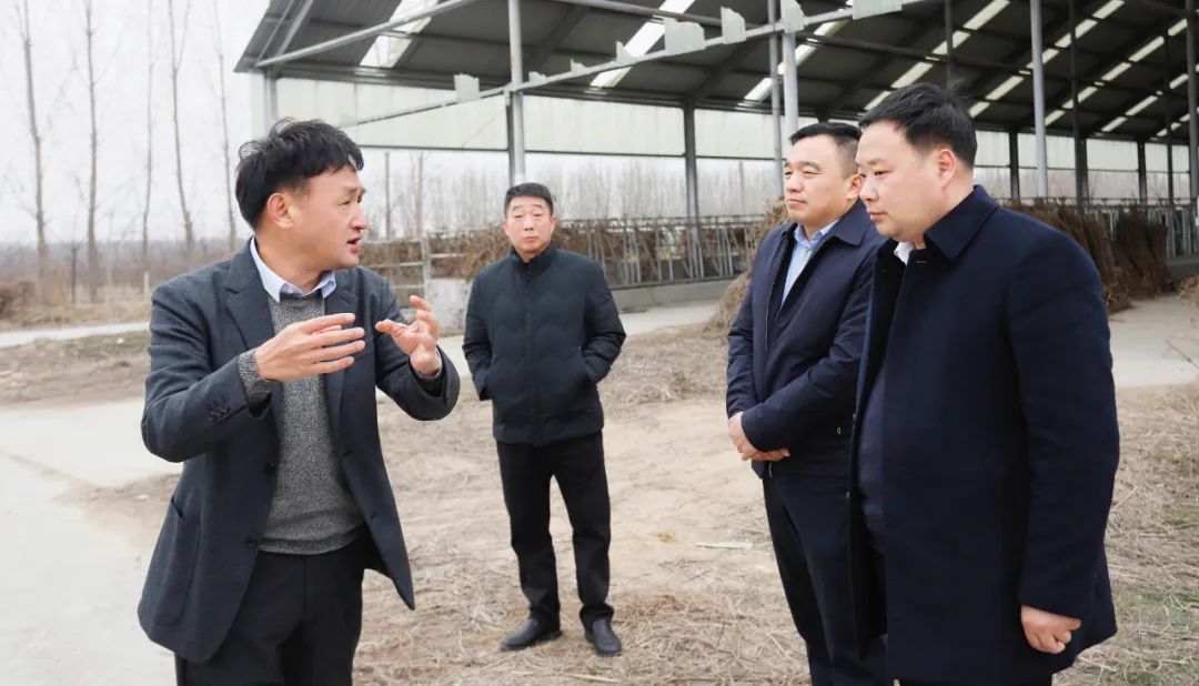 發(fā)揮產(chǎn)業(yè)優(yōu)勢 助力鄉(xiāng)村振興 | 民權(quán)縣委副書記、縣長王靜嫻會見關(guān)曉彥董事長一行