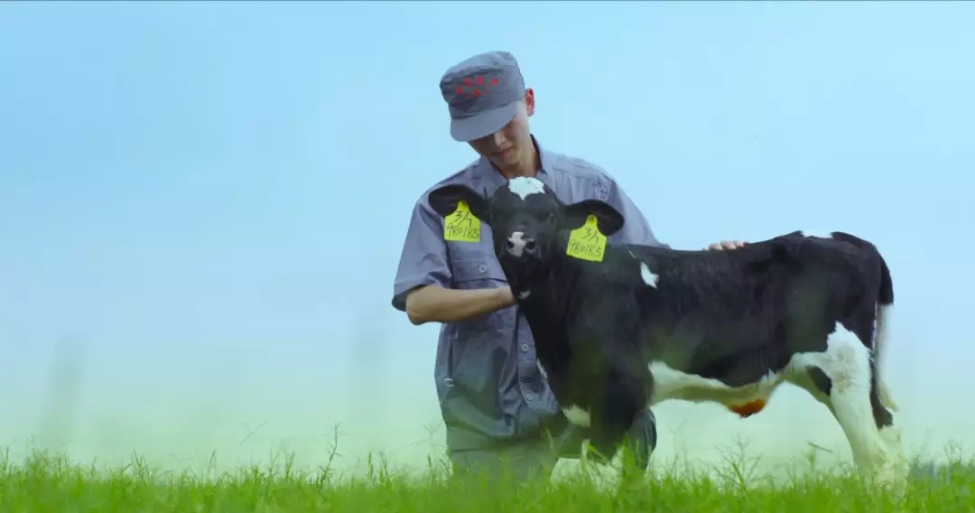 河南省人大常委會黨組書記、副主任孔昌生蒞臨花花牛魯山瑞亞牧場參觀調研