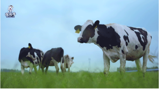 河南省高級(jí)人民法院院長(zhǎng)胡道才一行蒞臨花花牛乳業(yè)集團(tuán)開展“萬人助萬企”活動(dòng) 助力企業(yè)發(fā)展