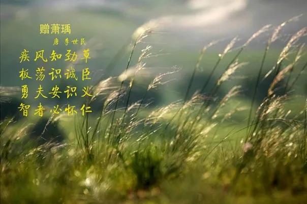 花花牛 | 疾風(fēng)來臨，你是不是勁草？