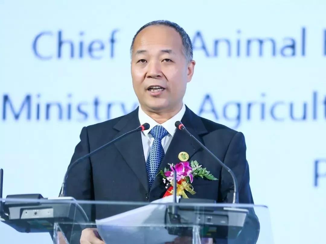 SDDDC走進河南，看看花花牛的國際范兒！