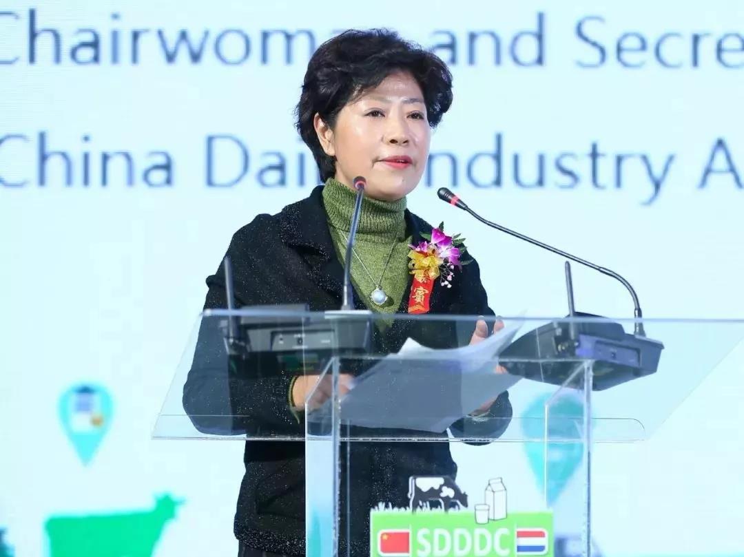 SDDDC走進河南，看看花花牛的國際范兒！