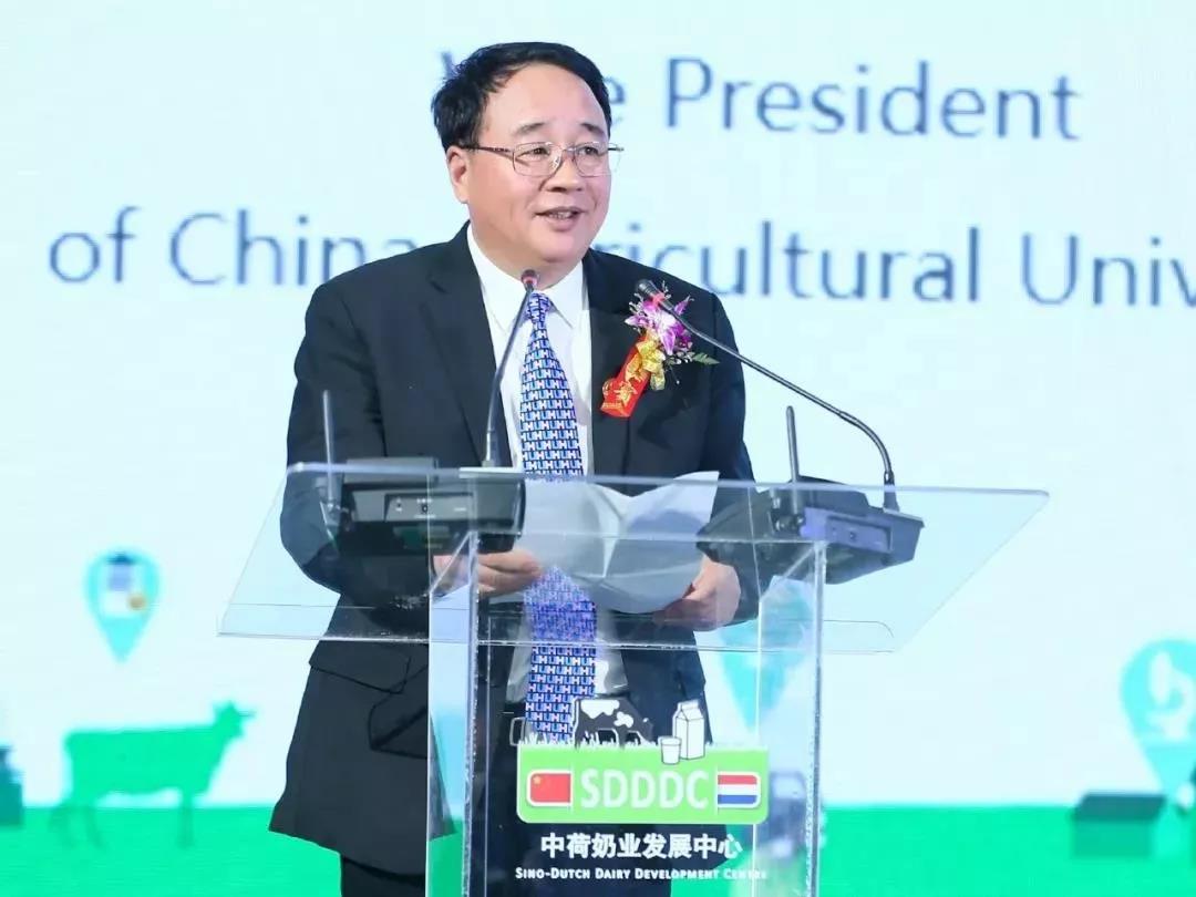 SDDDC走進河南，看看花花牛的國際范兒！