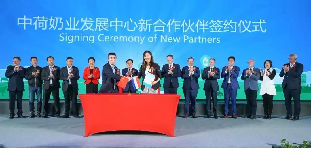 SDDDC走進河南，看看花花牛的國際范兒！