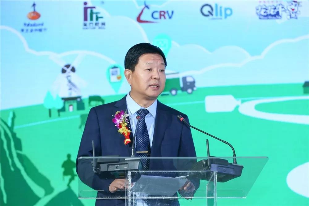 SDDDC走進河南，看看花花牛的國際范兒！