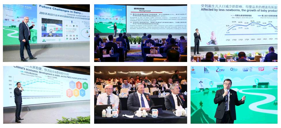 SDDDC走進河南，看看花花牛的國際范兒！