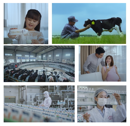 花花牛亮相中國奶業(yè)20強呼倫貝爾峰會，共話中國奶業(yè)振興！