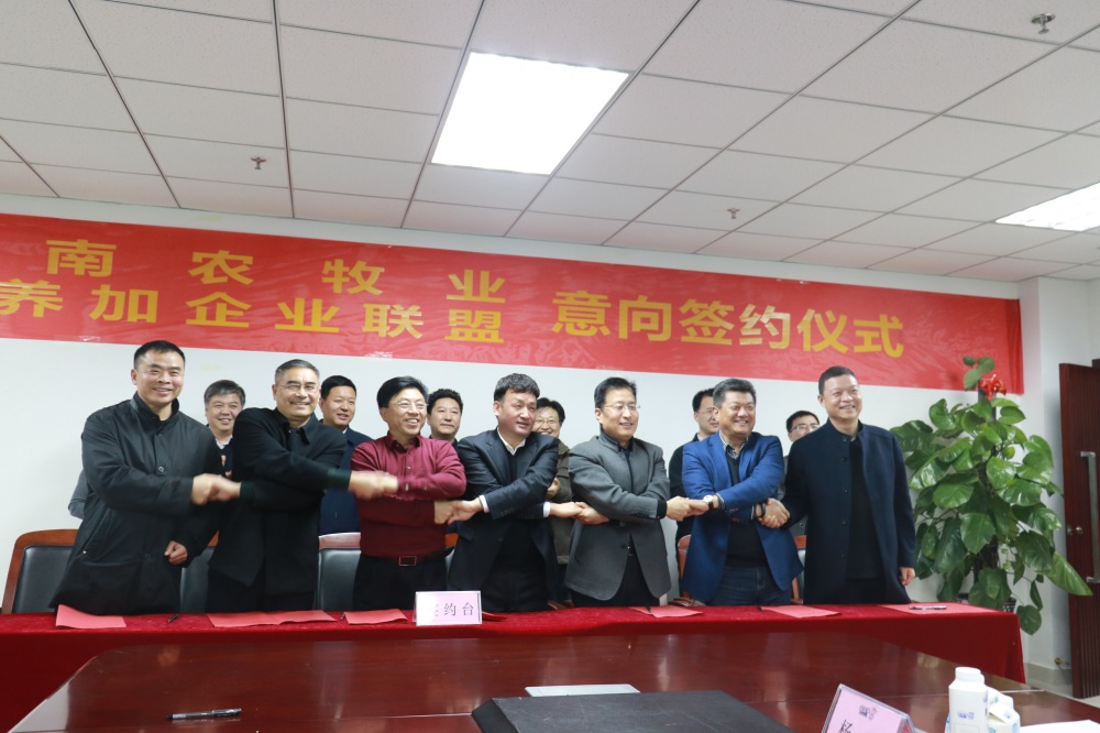 涉農(nóng)企業(yè)強強聯(lián)合，“抱團取暖”共迎企業(yè)發(fā)展的春天