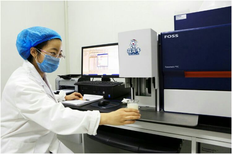 花花牛：務(wù)實(shí)、創(chuàng)新領(lǐng)潮市場 大企業(yè)體現(xiàn)大擔(dān)當(dāng)