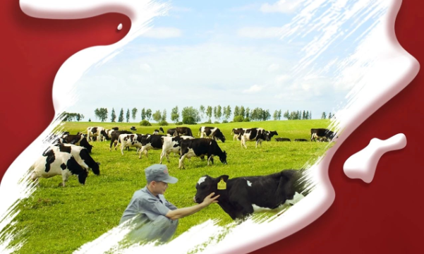 喜報！花花牛董事長關(guān)曉彥再獲”優(yōu) 秀企業(yè)家”稱號